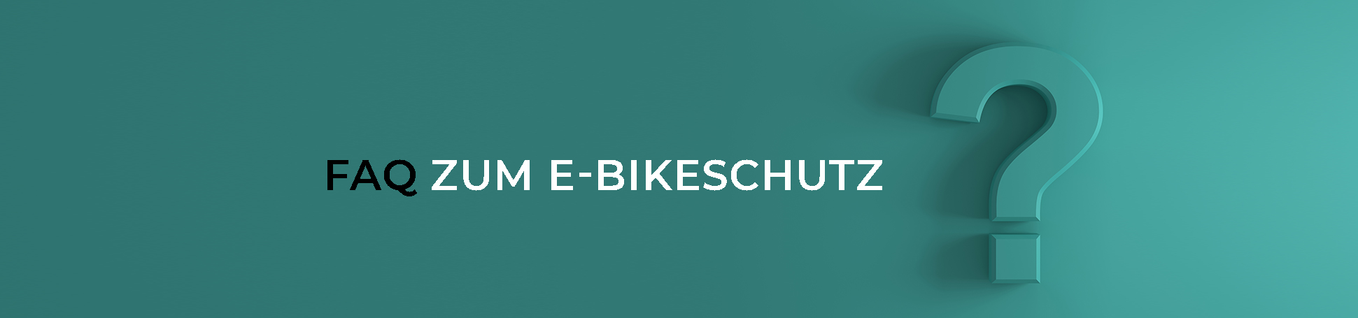 FAQ zum E-Bikeschutz